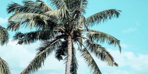 Beitragsbild des Blogbeitrags Tipp: 3 Yogaretreats für euren Winter 2017/2018