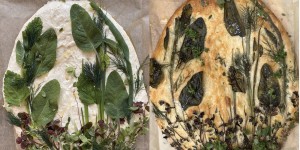 Beitragsbild des Blogbeitrags Hereinspaziert, im sommerfrischen Fociacca Garten!