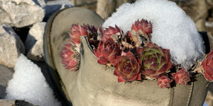 Beitragsbild des Blogbeitrags Ins Mittelland gehen
