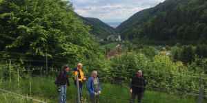 Beitragsbild des Blogbeitrags SPIRIWALK to Linz