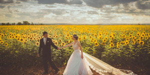 Beitragsbild des Blogbeitrags Hochzeit 2021: Unsere 10 Top-Tipps
