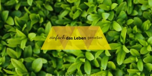 Beitragsbild des Blogbeitrags Durchdrehen und das Leben genießen