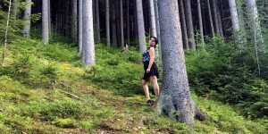 Beitragsbild des Blogbeitrags Wanderung durch die Wälder Steiermarks