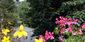Beitragsbild des Blogbeitrags Familienhotel Appelhof