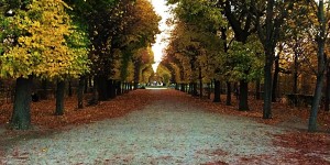 Beitragsbild des Blogbeitrags Schlosspark Schönbrunn im Herbst