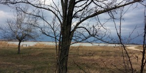 Beitragsbild des Blogbeitrags Lange Lacke: Nationalpark Neusiedlersee-Seewinkel