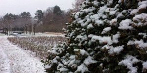 Beitragsbild des Blogbeitrags Winter Wonderland: Vienna City