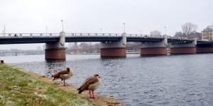 Beitragsbild des Blogbeitrags Das Mainufer von Frankfurt am Main