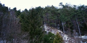 Beitragsbild des Blogbeitrags Region Gloggnitz: Natur Fotografie