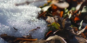 Beitragsbild des Blogbeitrags Winterzeit in Podersdorf am See