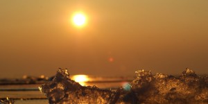 Beitragsbild des Blogbeitrags Eiszeit am Neusiedler See