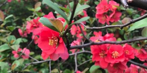 Beitragsbild des Blogbeitrags Hello Spring!