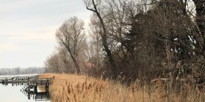 Beitragsbild des Blogbeitrags Vienna`s Winter Landscape – Photoshots