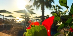 Beitragsbild des Blogbeitrags Neues Jahr, neue Reiseziele 2019