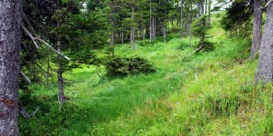 Beitragsbild des Blogbeitrags Photography: Austrian Province Salzburg – Flachau