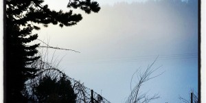 Beitragsbild des Blogbeitrags Wie tickt unser Rechtsstaat?