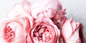 Beitragsbild des Blogbeitrags story telling – Ein Geburtstag, meine Gürtelrose und ich