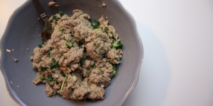 Beitragsbild des Blogbeitrags recipes – Dreierlei Ravioli