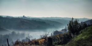 Beitragsbild des Blogbeitrags Mondiale del tartufo – Eine Trüffel-Reise nach Alba