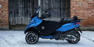 Beitragsbild des Blogbeitrags Tucano Urbano – Homolkas Lieblingstier