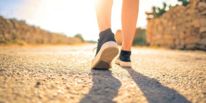Beitragsbild des Blogbeitrags Umzug im Sommer: Sommer, Sonne, Umzugswagen, Ihr Leitfaden für den Umzug im Sommer