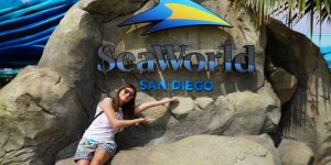 Beitragsbild des Blogbeitrags SeaWorld ~ San Diego