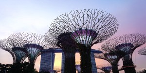 Beitragsbild des Blogbeitrags Gardens by the Bay ~ Singapore