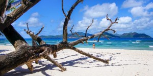 Beitragsbild des Blogbeitrags A Beach Guide to La Digue Island ~ Seychelles