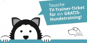 Beitragsbild des Blogbeitrags „Tausche TV-Trainer-Ticket gegen Training“ 2.0: Alle Infos