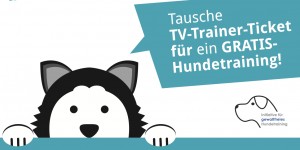 Beitragsbild des Blogbeitrags „Tausche TV-Trainer-Ticket gegen Training“ 2.0: Alle Infos 