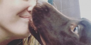 Beitragsbild des Blogbeitrags Kiss to dismiss – Gesicht Lecken als freundliches „Bussi, Baba“