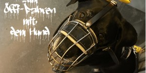 Beitragsbild des Blogbeitrags Ein Guide zum Öffi-Fahren mit dem Hund