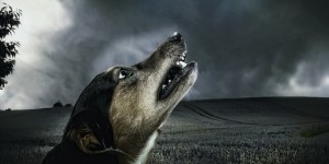 Beitragsbild des Blogbeitrags Gruselgeschichten vom Angst verstärken