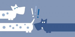 Beitragsbild des Blogbeitrags Anmerkungen zum Krone-Interview mit Cesar Millan Teil 2