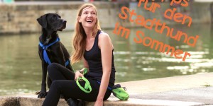 Beitragsbild des Blogbeitrags Tipps für den Stadthund im Sommer 