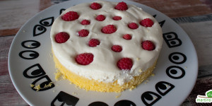 Beitragsbild des Blogbeitrags Fruchtiger Himbeer-Zitronen-Kuchen