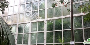Beitragsbild des Blogbeitrags Palmenhaus, Wüstenhaus und Balthasar