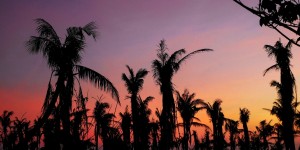 Beitragsbild des Blogbeitrags Wochenende in Kenting | Infos & Tipps 
