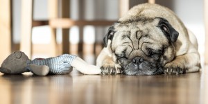 Beitragsbild des Blogbeitrags Schneller einschlafen: Die besten Tipps gegen Schlafstörungen