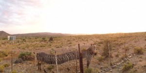 Beitragsbild des Blogbeitrags Fail: Diese Panorama-Fotos gingen ordentlich in die Hose 
