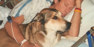 Beitragsbild des Blogbeitrags Tribute to Denali: Hund und Herrchen im Kampf gegen Krebs