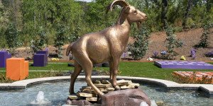 Beitragsbild des Blogbeitrags The GOAT: Reality-Stars kämpfen um 200.000 Dollar Preisgeld