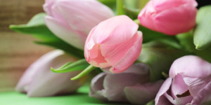 Beitragsbild des Blogbeitrags Muttertag: Blumenklassiker und Farbtrends 2024 