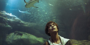 Beitragsbild des Blogbeitrags Hai-Horror in Paris: Infos zum Netflix-Schocker “Im Wasser der Seine”