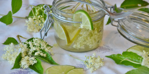 Beitragsbild des Blogbeitrags Holunderblütensirup selber machen: So einfach gehts