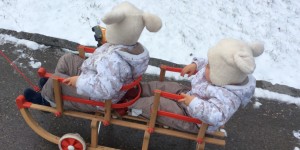 Beitragsbild des Blogbeitrags Gewinnspiel: Die Zwillingsrodel Davoser von Zwillingsburg.de