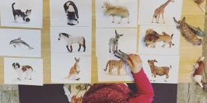 Beitragsbild des Blogbeitrags Montessori-inspirierte Spiele selber machen – Schleichtiere zuordnen 