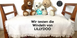 Beitragsbild des Blogbeitrags LILLYDOO-Windeln: Erfahrungen und Rabattcode (3793649B) 