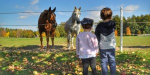 Beitragsbild des Blogbeitrags Urlaub mit Kindern im Burgenland: Reiters Finest Familyhotel