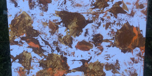 Beitragsbild des Blogbeitrags Kreatives Wandbild mit Kindern gestalten: Dein individuelles Kunstwerk für unter 20€